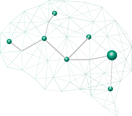 Brain Image 6