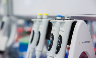 Carbamoyltransferases